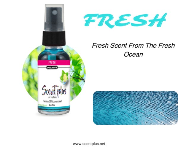 air freshener scent plus